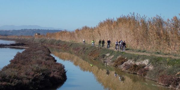 4/6/2017 - Visita al Parco di Molentargius - Saline